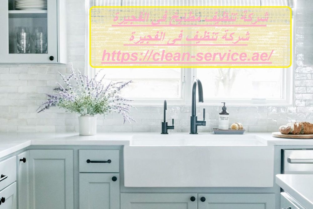 شركة تنظيف مطابخ في الفجيرة