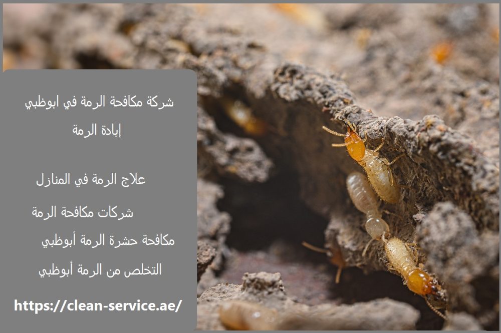 شركة مكافحة الرمة في ابوظبي