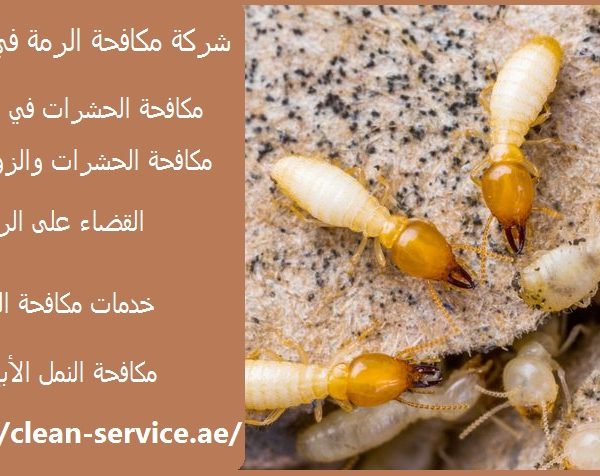 شركة مكافحة الرمة في الشارقة