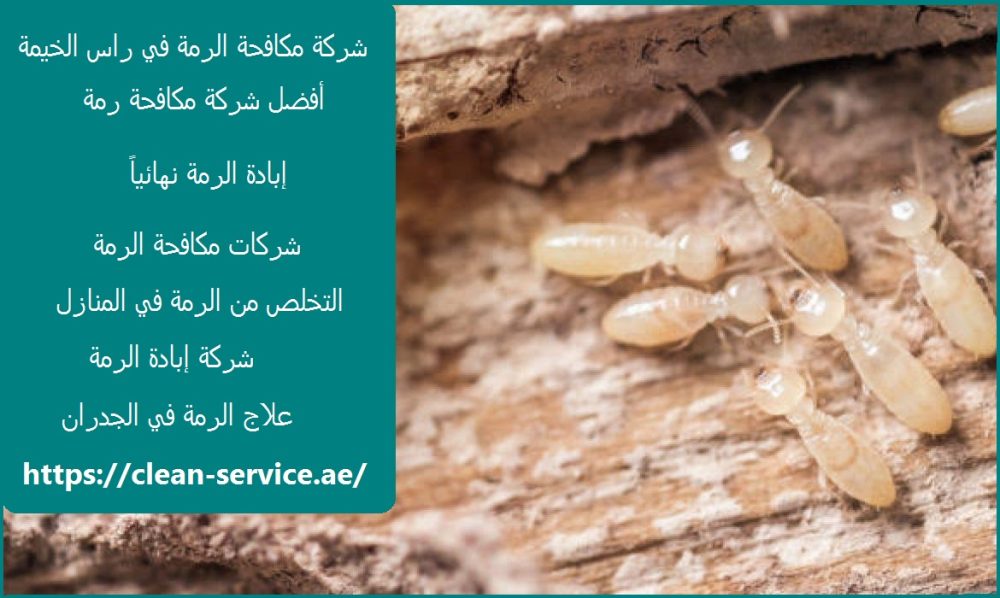 شركة مكافحة الرمة في راس الخيمة
