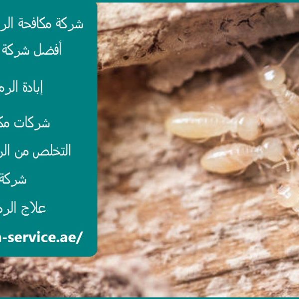 شركة مكافحة الرمة في راس الخيمة