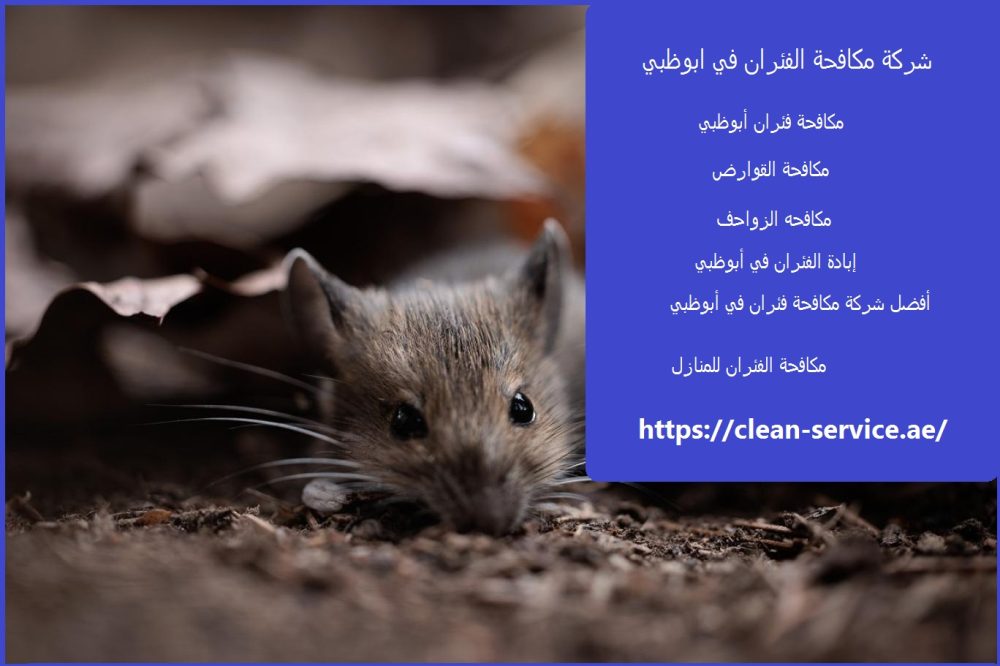 شركة مكافحة الفئران في ابوظبي