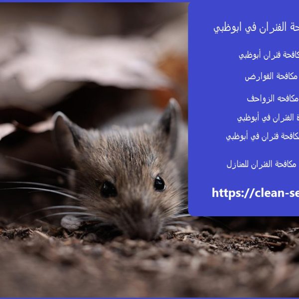 شركة مكافحة الفئران في ابوظبي