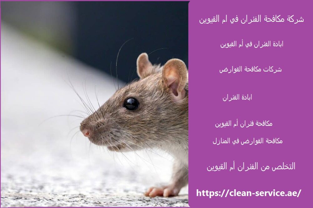 شركة مكافحة الفئران في ام القيوين