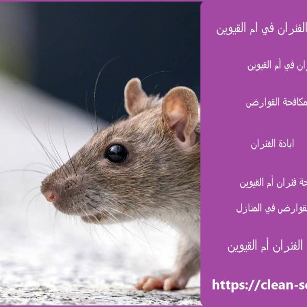 شركة مكافحة الفئران في ام القيوين