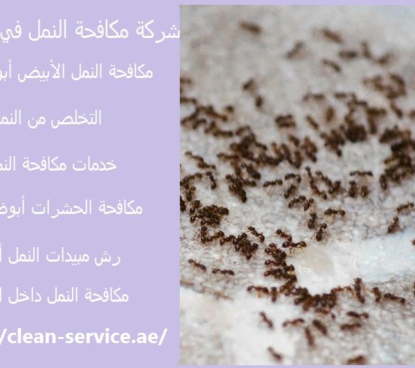 شركة مكافحة النمل في ابوظبي