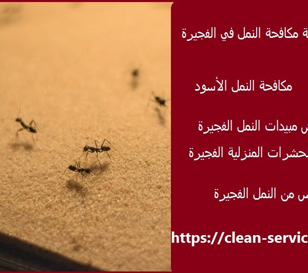 شركة مكافحة النمل في الفجيرة