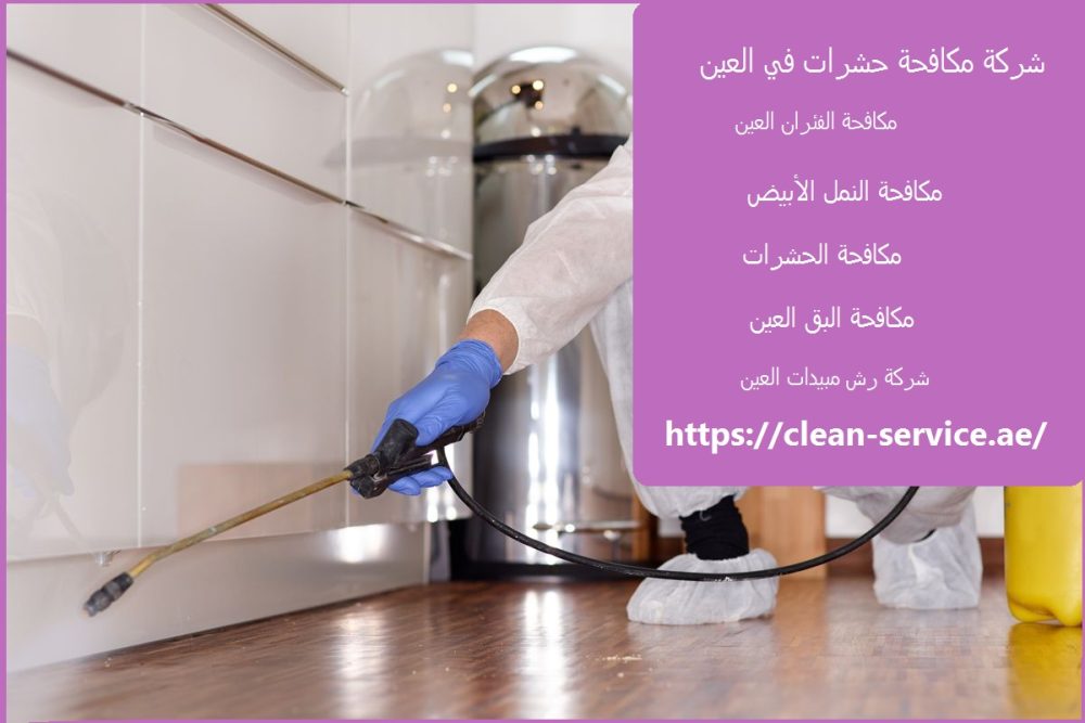 شركة مكافحة حشرات في العين