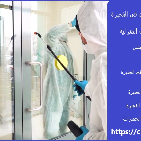 شركة مكافحة حشرات في الفجيرة