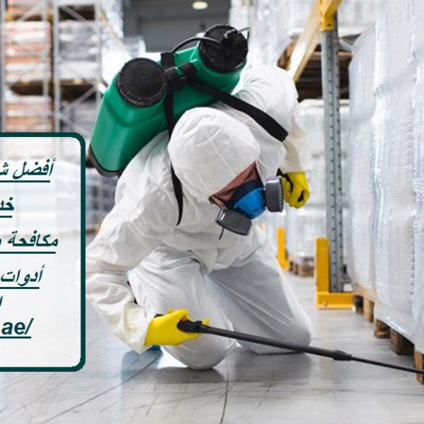 أفضل شركة رش حشرات في أم القيوين
