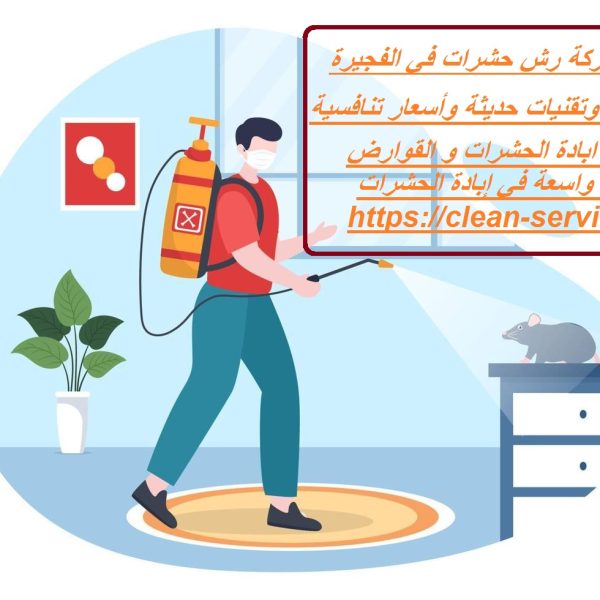 أفضل شركة رش حشرات في الفجيرة