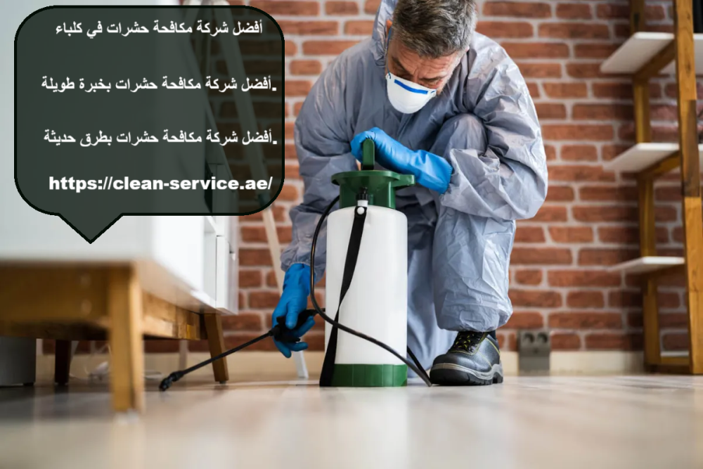 أفضل شركة مكافحة حشرات في كلباء