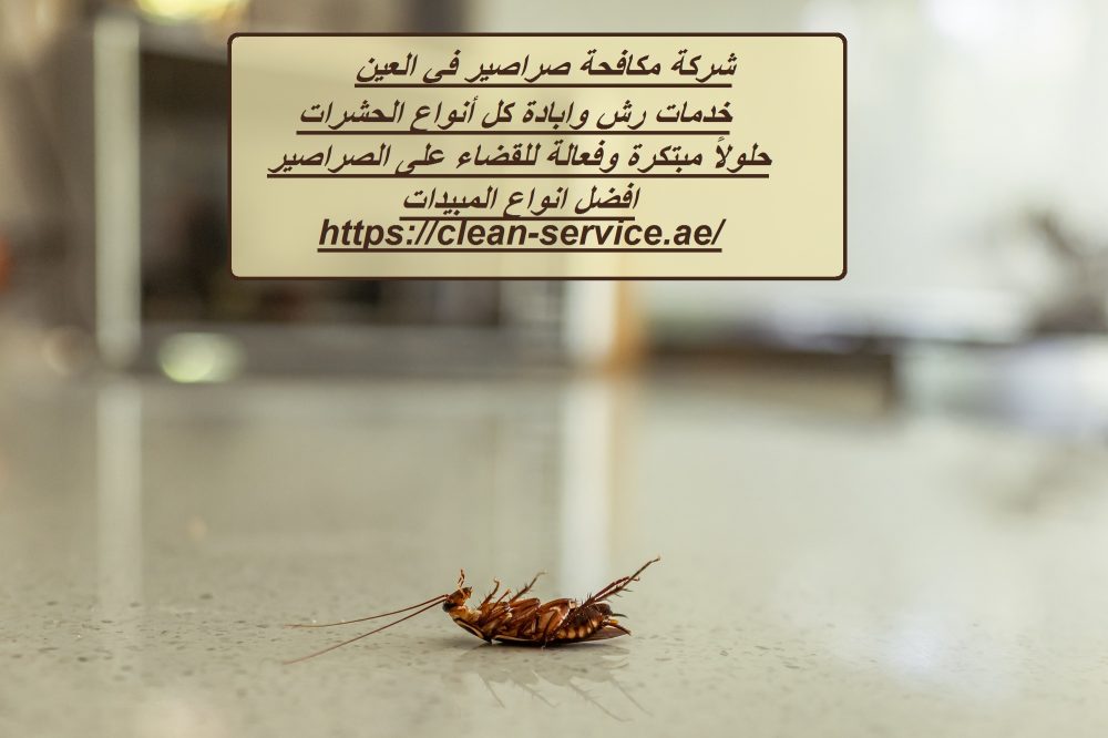 شركة مكافحة صراصير في العين