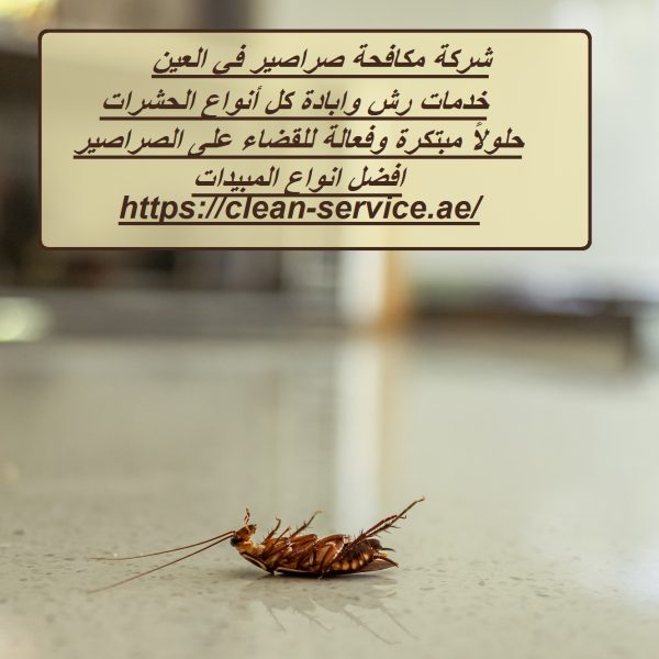 شركة مكافحة صراصير في العين