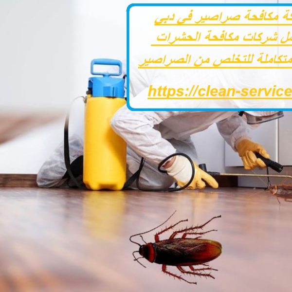 شركة مكافحة صراصير في دبي