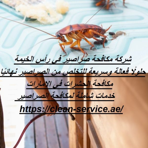 شركة مكافحة صراصير في رأس الخيمة