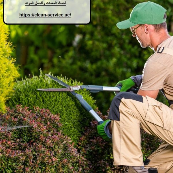 افضل شركة تنظيف الحوش في عجمان