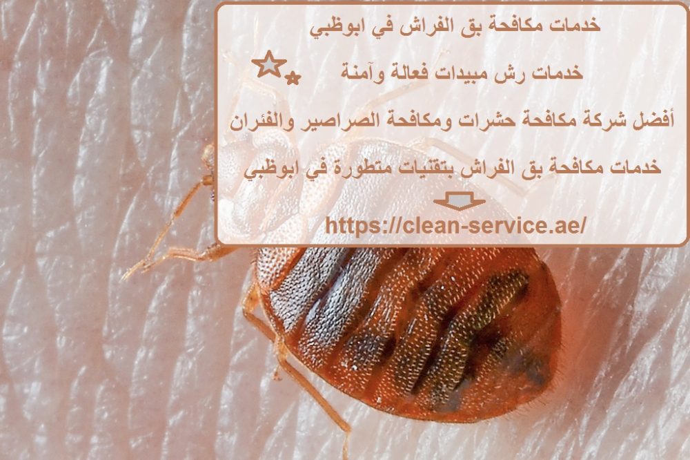 خدمات مكافحة بق الفراش في ابوظبي