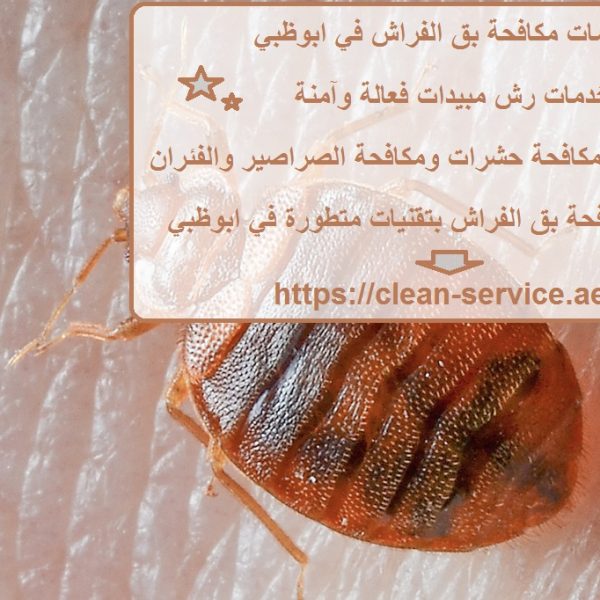 خدمات مكافحة بق الفراش في ابوظبي