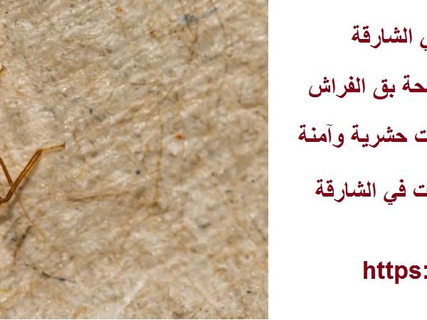 خدمات مكافحة بق الفراش في الشارقة