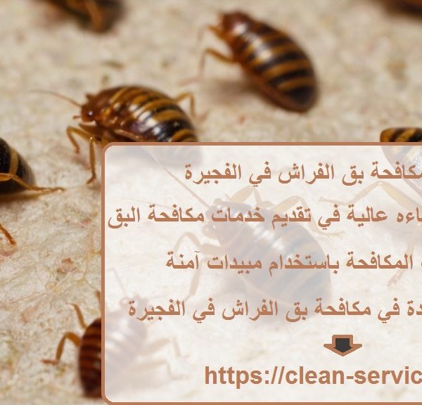 خدمات مكافحة بق الفراش في الفجيرة