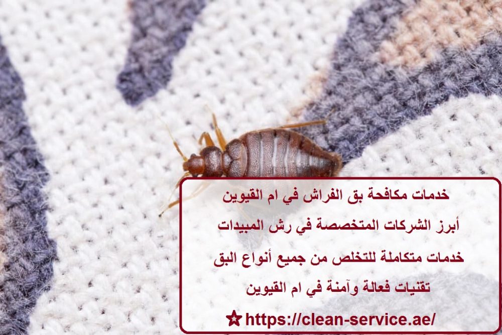 خدمات مكافحة بق الفراش في ام القيوين