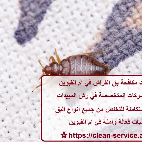 خدمات مكافحة بق الفراش في ام القيوين