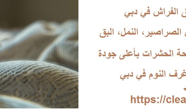 خدمات مكافحة بق الفراش في دبي