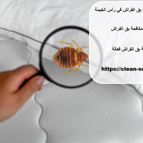 خدمات مكافحة بق الفراش في رأس الخيمة