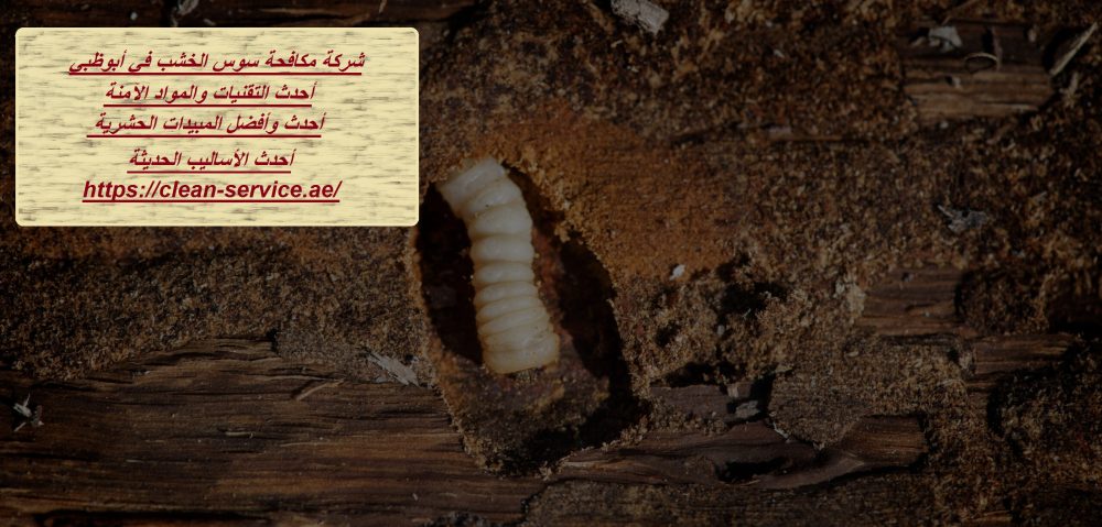 شركة مكافحة سوس الخشب في أبوظبي