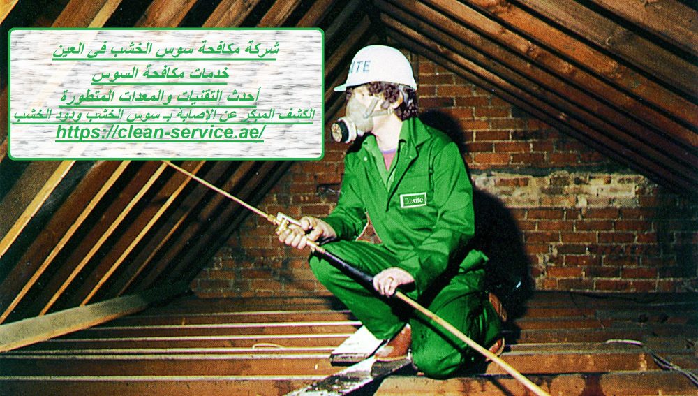 شركة مكافحة سوس الخشب في العين