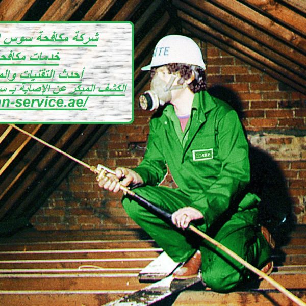 شركة مكافحة سوس الخشب في العين