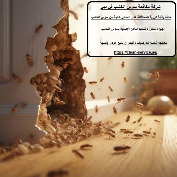 شركة مكافحة سوس الخشب في دبي